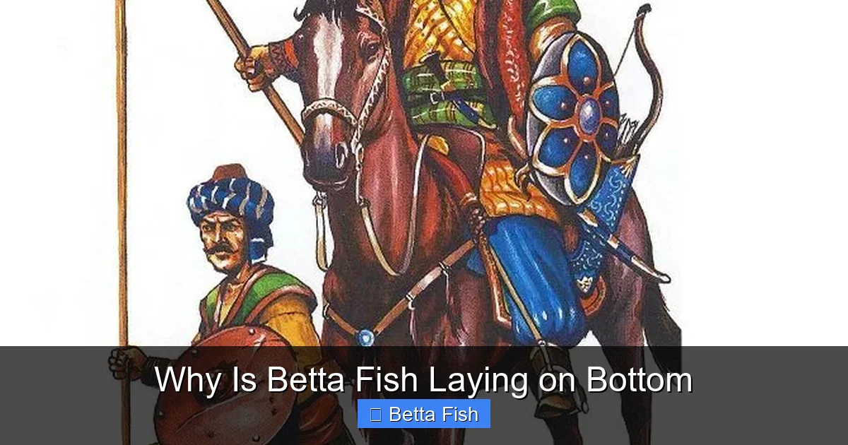 Why Is Betta Fish Laying on Bottom