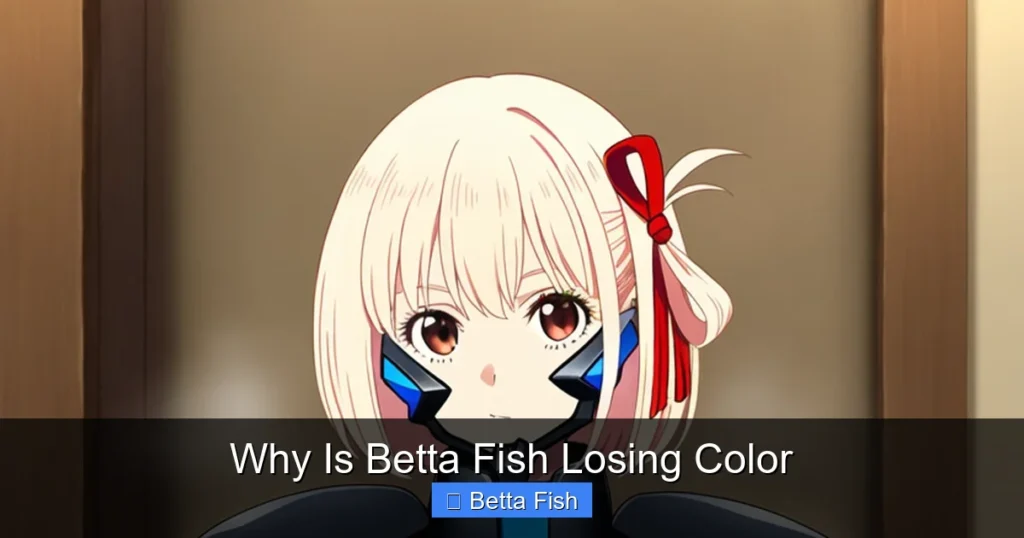 Why Is Betta Fish Losing Color