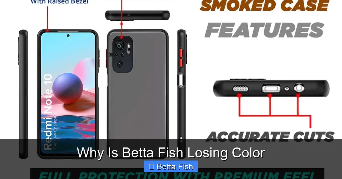 Why Is Betta Fish Losing Color