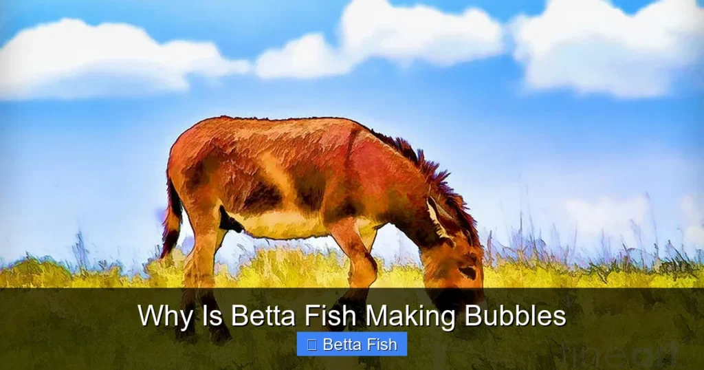 Why Is Betta Fish Making Bubbles