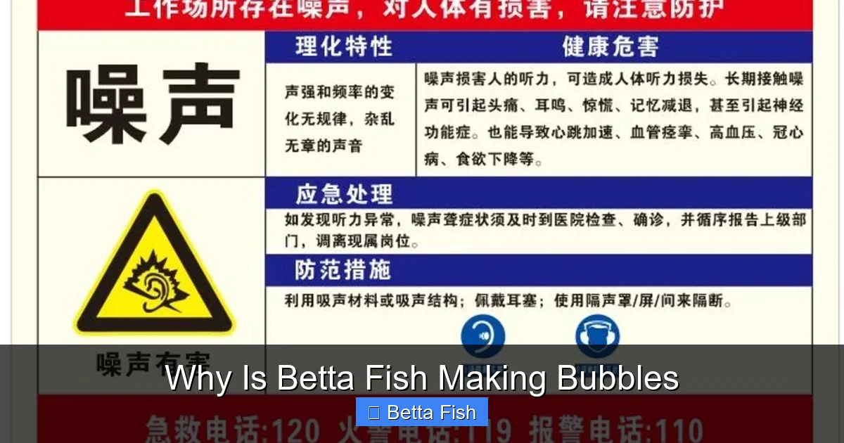 Why Is Betta Fish Making Bubbles