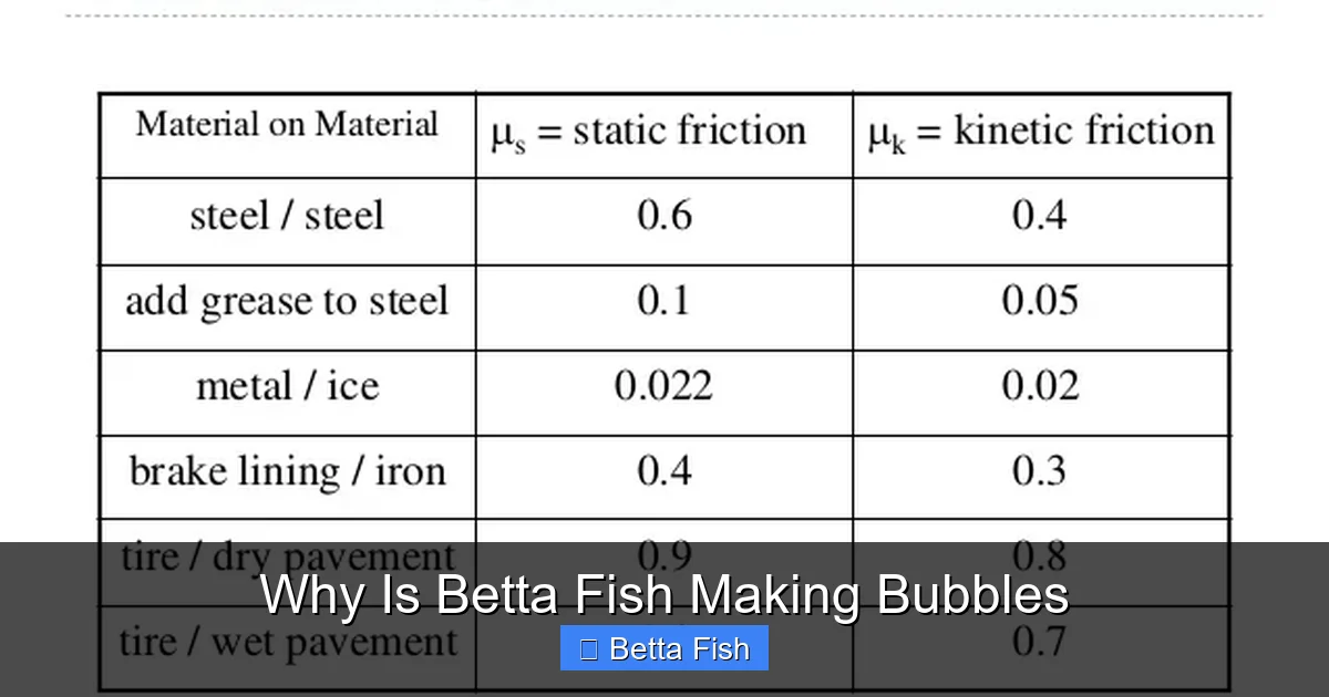 Why Is Betta Fish Making Bubbles