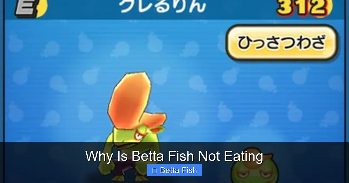 Why Is Betta Fish Not Eating