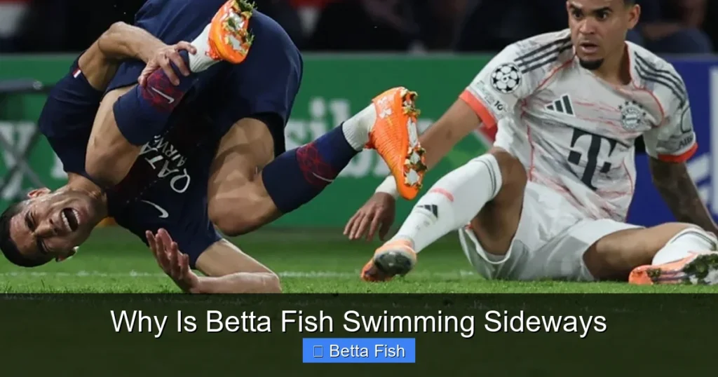 Why Is Betta Fish Swimming Sideways
