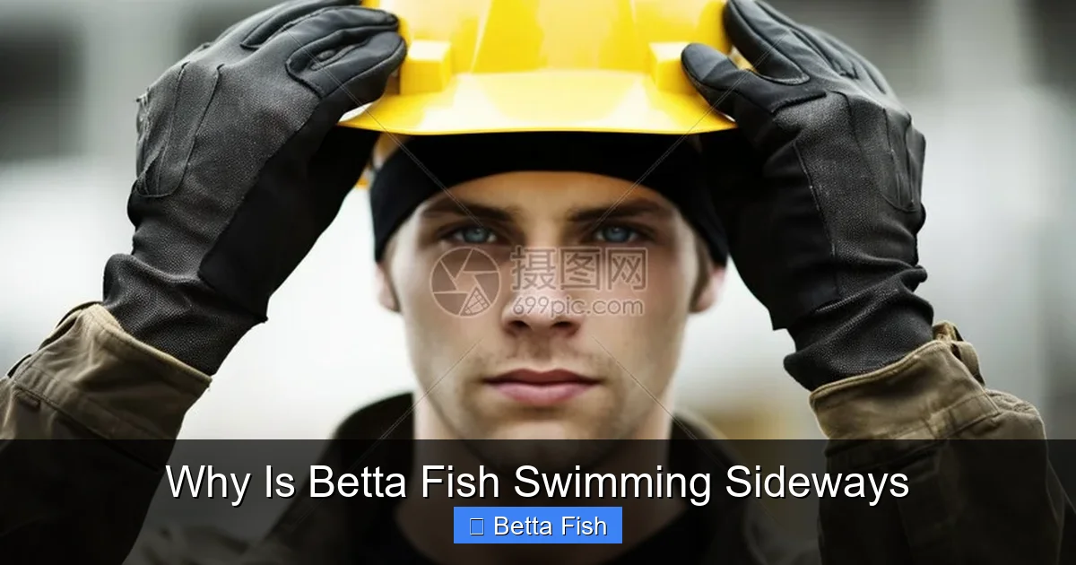 Why Is Betta Fish Swimming Sideways
