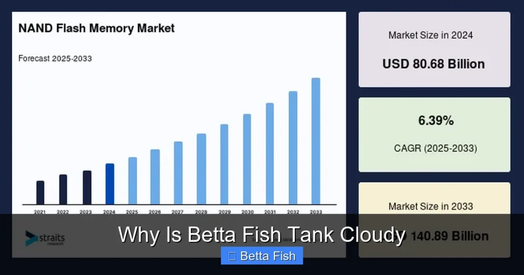 Why Is Betta Fish Tank Cloudy