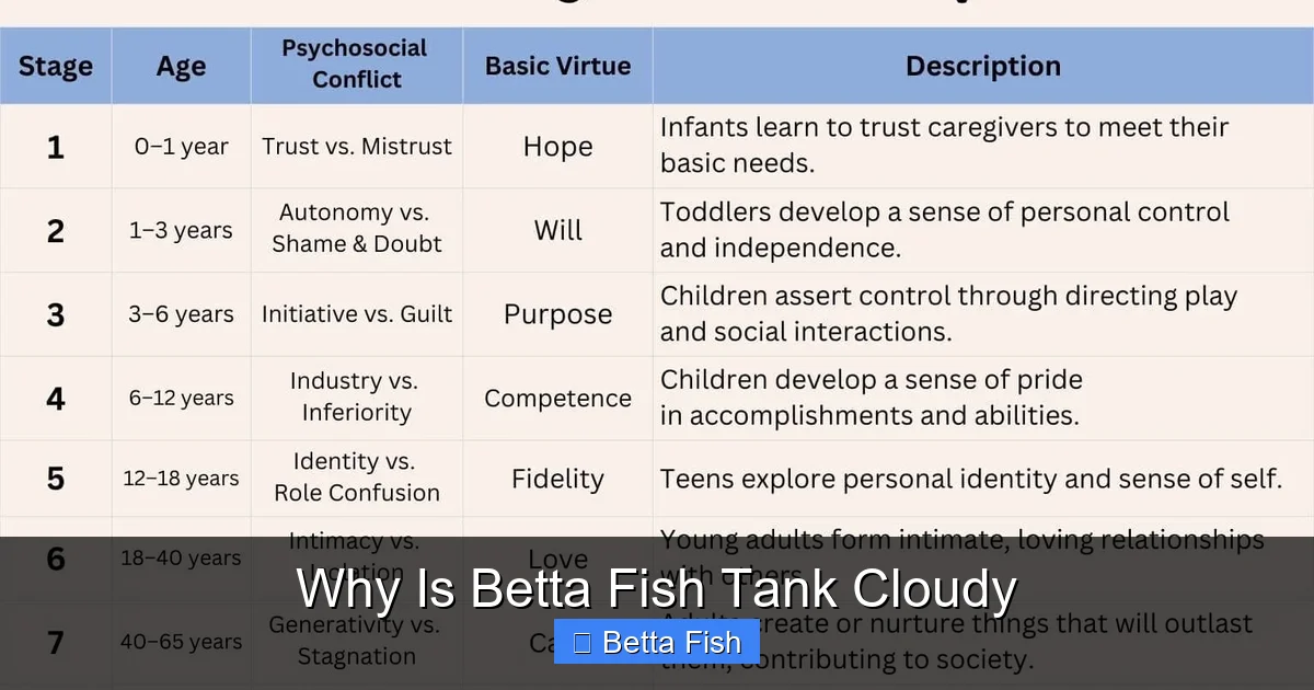 Why Is Betta Fish Tank Cloudy