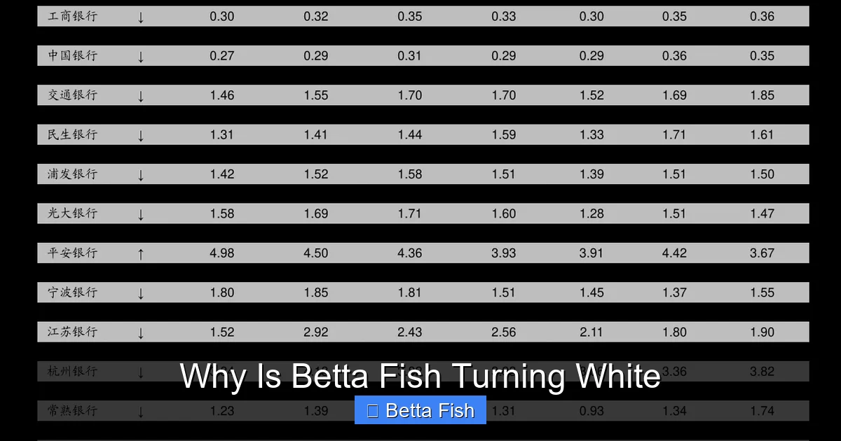Why Is Betta Fish Turning White