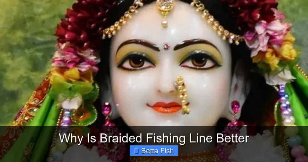 Why Is Braided Fishing Line Better