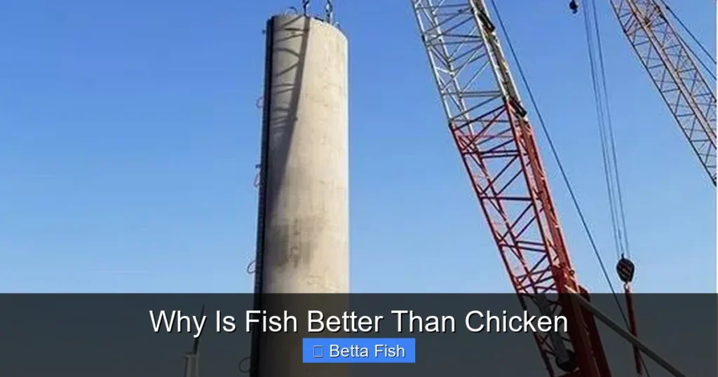 Why Is Fish Better Than Chicken