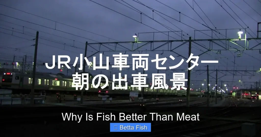 Why Is Fish Better Than Meat