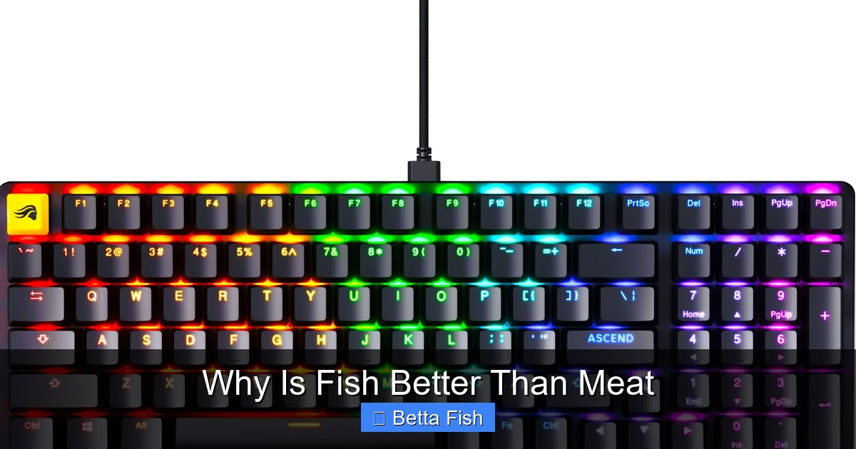 Why Is Fish Better Than Meat