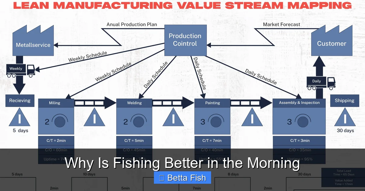 Why Is Fishing Better in the Morning
