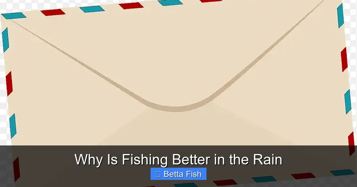 Why Is Fishing Better in the Rain