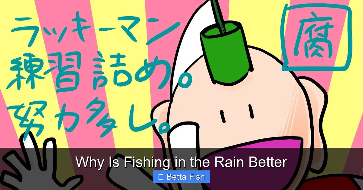 Why Is Fishing in the Rain Better