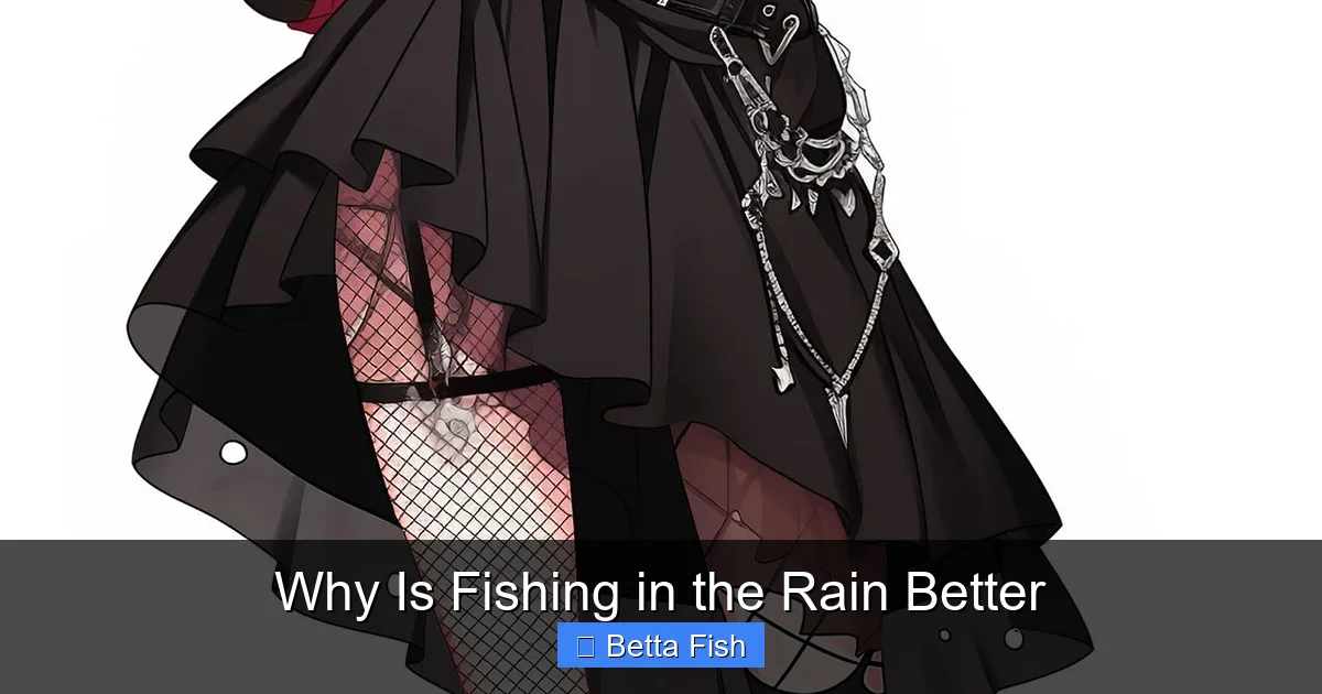 Why Is Fishing in the Rain Better