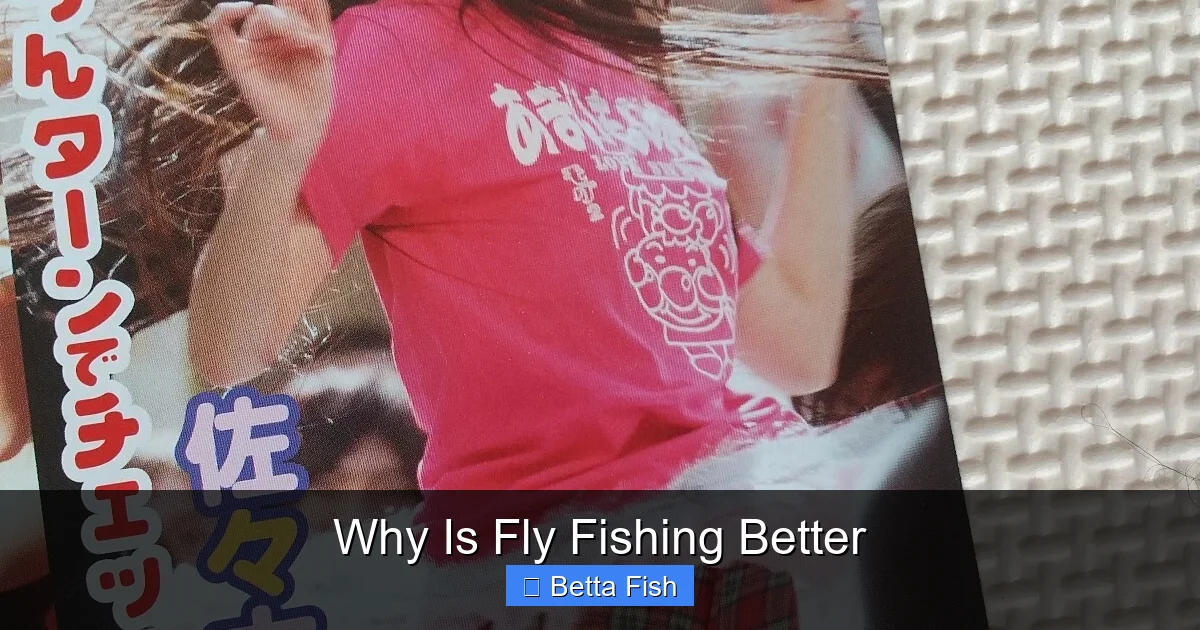 Why Is Fly Fishing Better