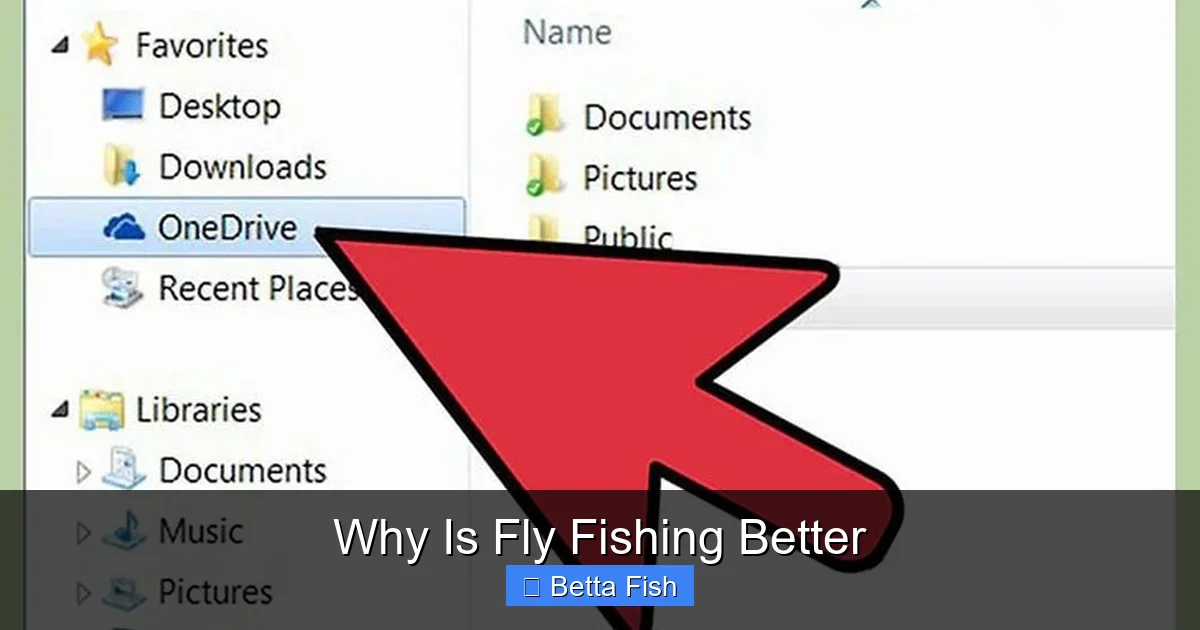 Why Is Fly Fishing Better