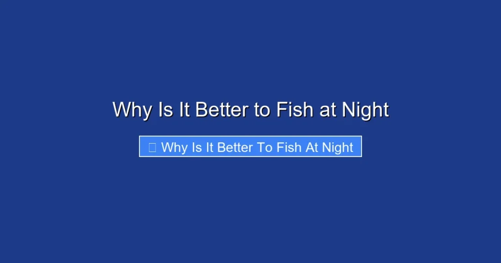 Why Is It Better to Fish at Night