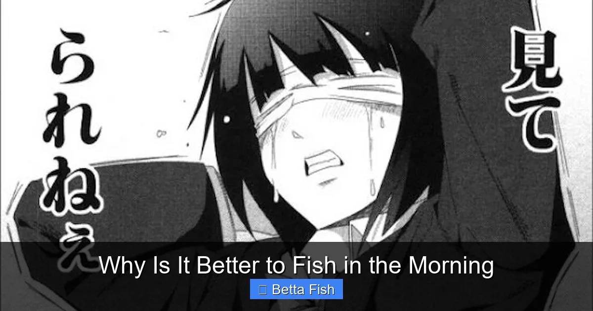 Why Is It Better to Fish in the Morning