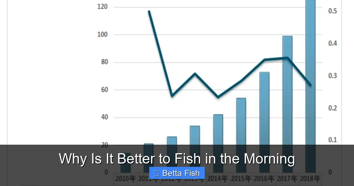 Why Is It Better to Fish in the Morning