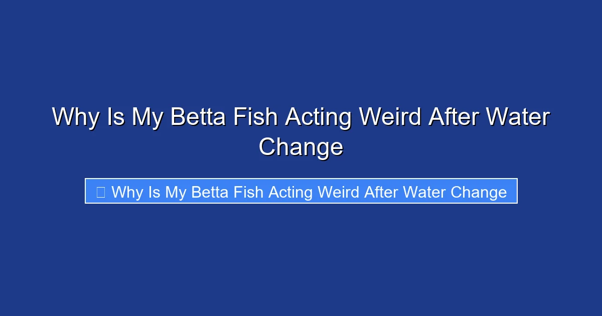 Why Is My Betta Fish Acting Weird After Water Change