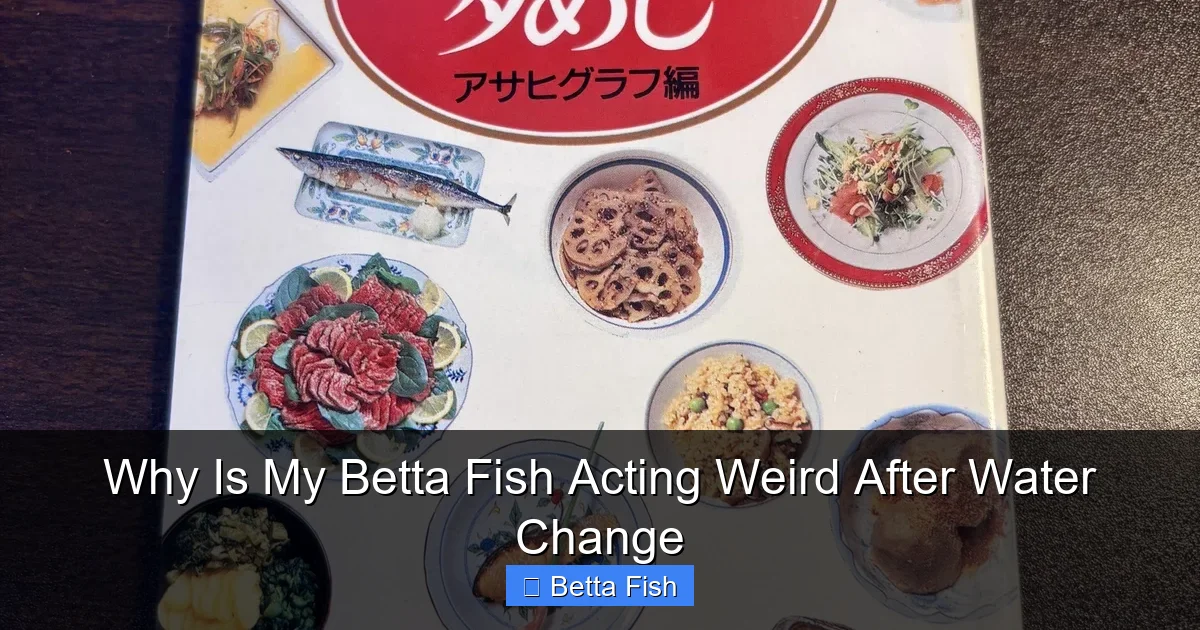 Why Is My Betta Fish Acting Weird After Water Change