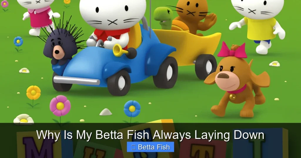 Why Is My Betta Fish Always Laying Down