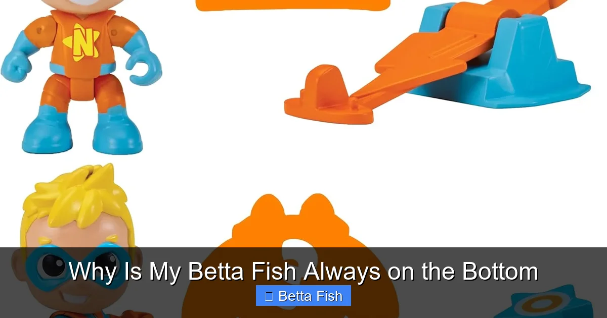 Why Is My Betta Fish Always on the Bottom