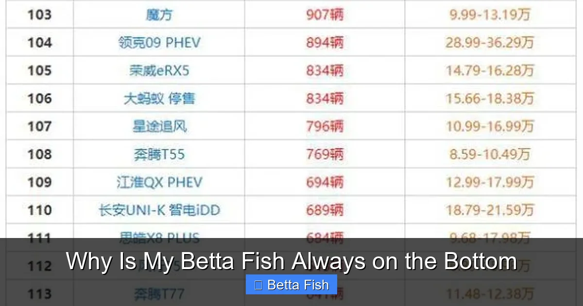 Why Is My Betta Fish Always on the Bottom