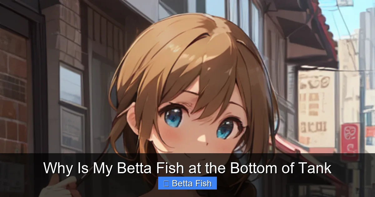 Why Is My Betta Fish at the Bottom of Tank