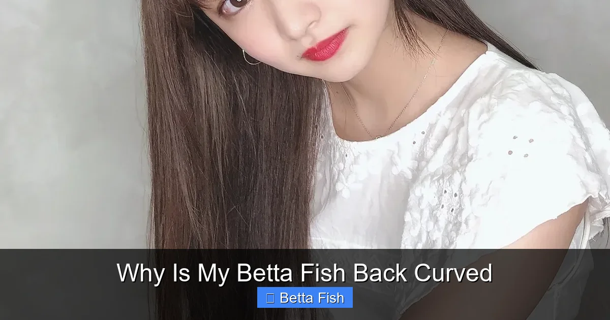 Why Is My Betta Fish Back Curved