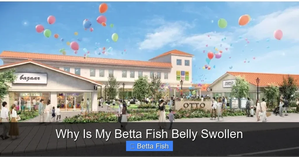 Why Is My Betta Fish Belly Swollen