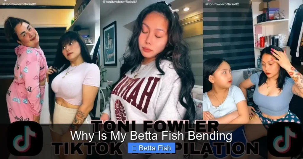 Why Is My Betta Fish Bending