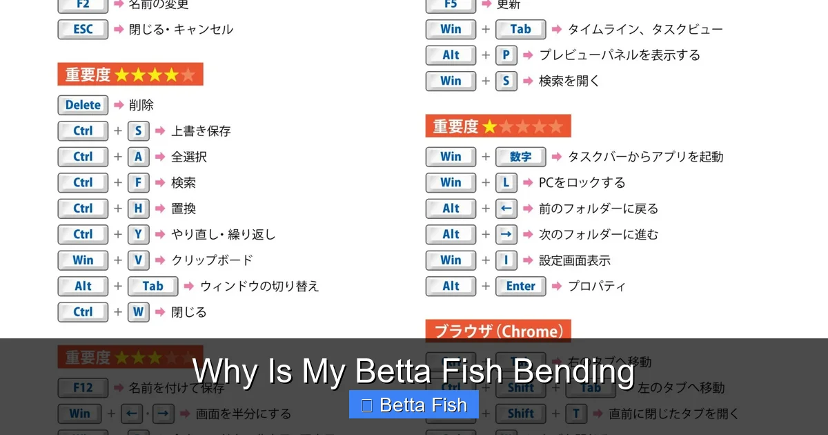 Why Is My Betta Fish Bending