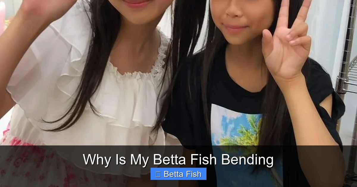 Why Is My Betta Fish Bending