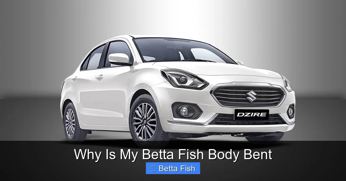 Why Is My Betta Fish Body Bent