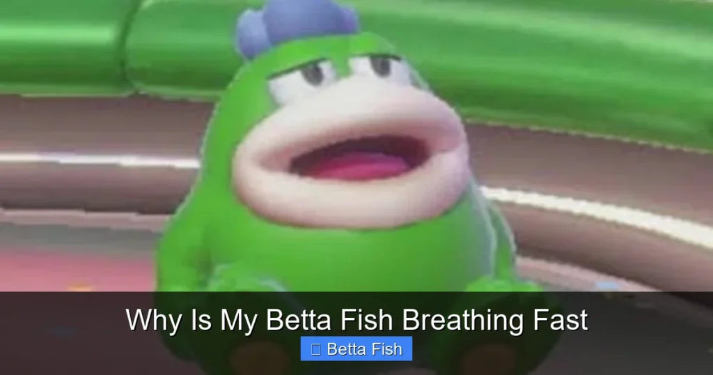 Why Is My Betta Fish Breathing Fast