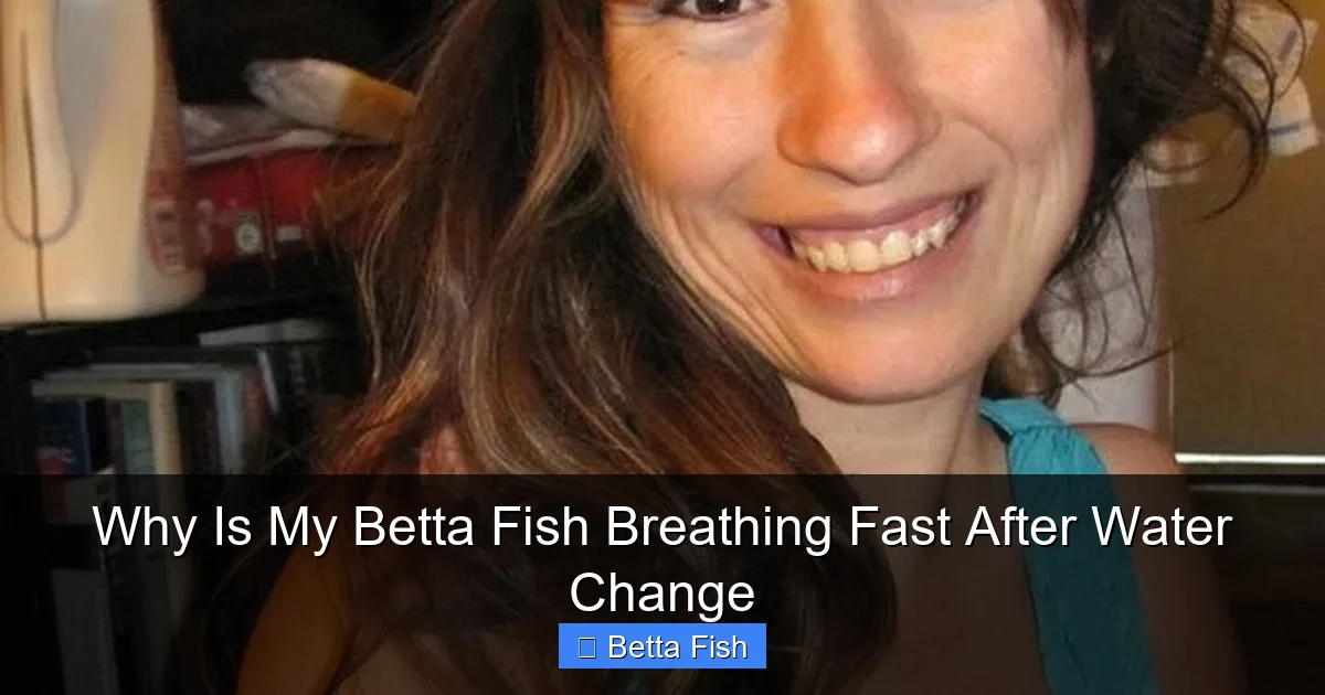 Why Is My Betta Fish Breathing Fast After Water Change