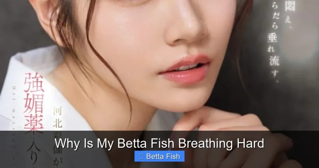 Why Is My Betta Fish Breathing Hard