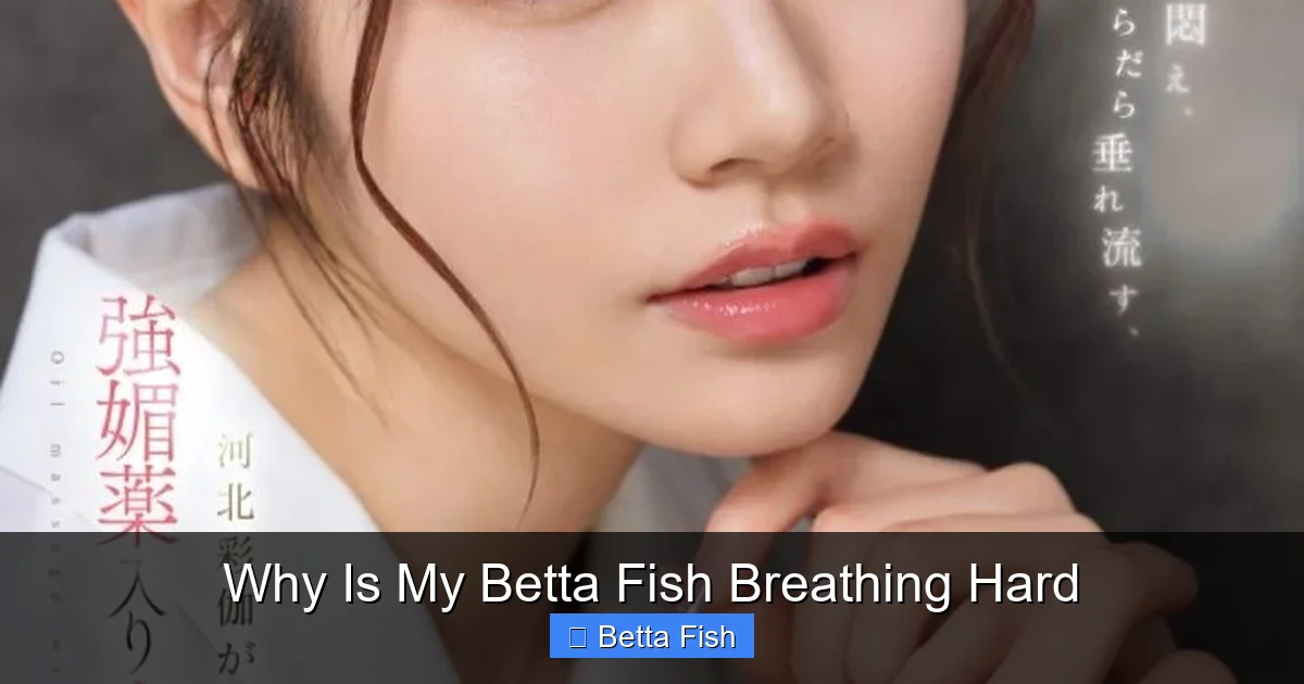 Why Is My Betta Fish Breathing Hard
