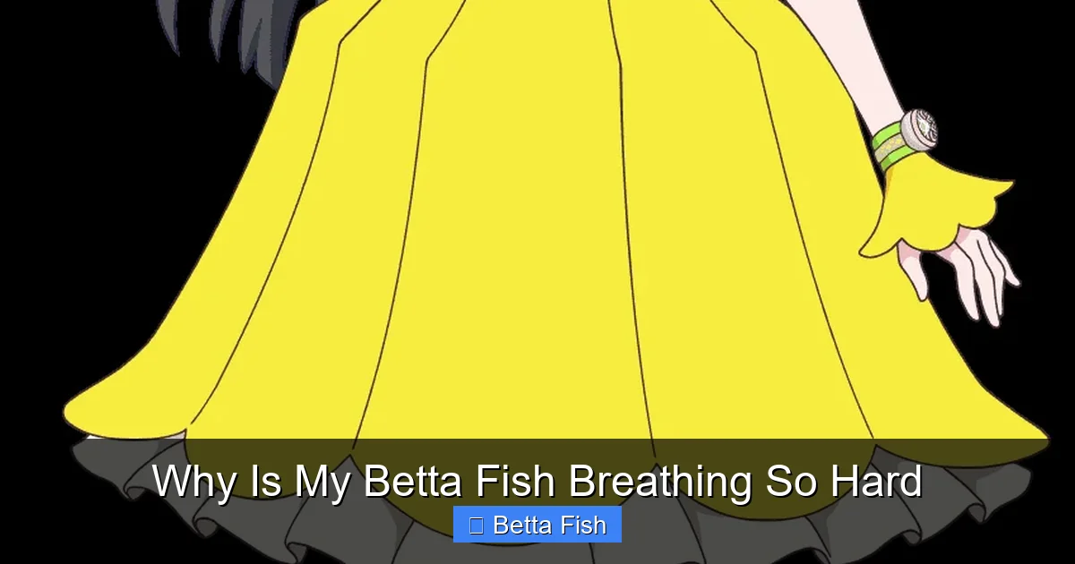 Why Is My Betta Fish Breathing So Hard