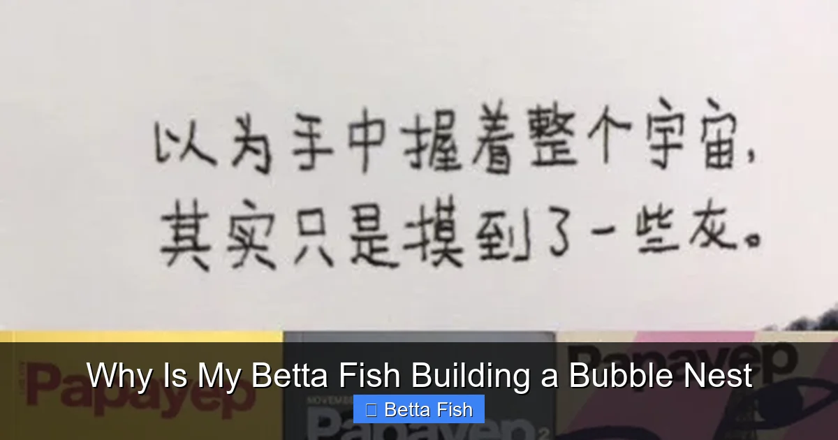 Why Is My Betta Fish Building a Bubble Nest