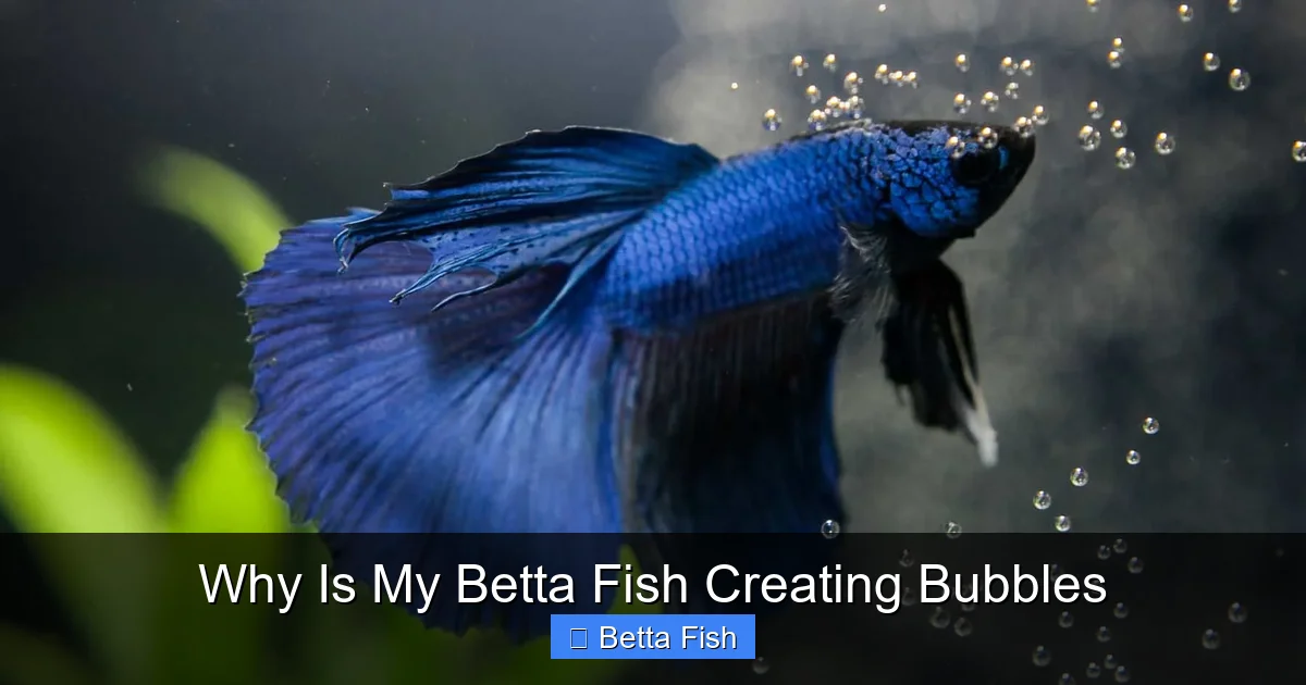 Why Is My Betta Fish Creating Bubbles