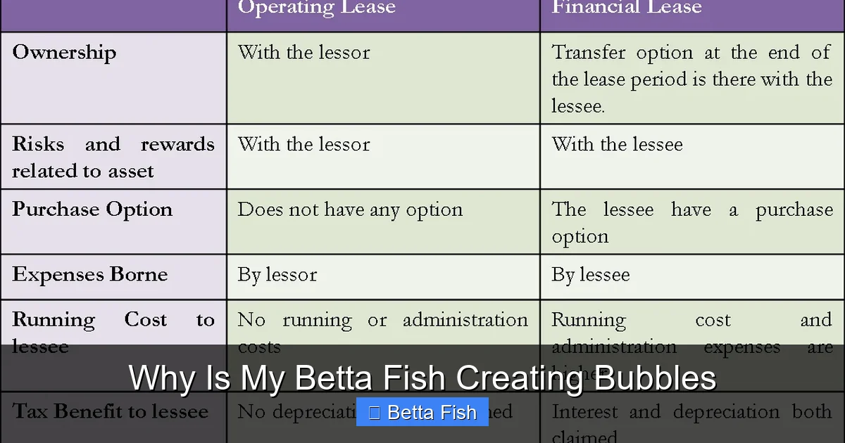 Why Is My Betta Fish Creating Bubbles