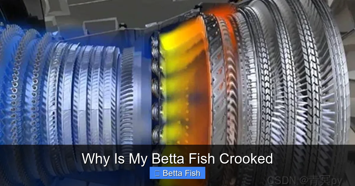 Why Is My Betta Fish Crooked