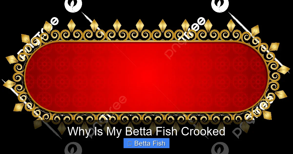 Why Is My Betta Fish Crooked