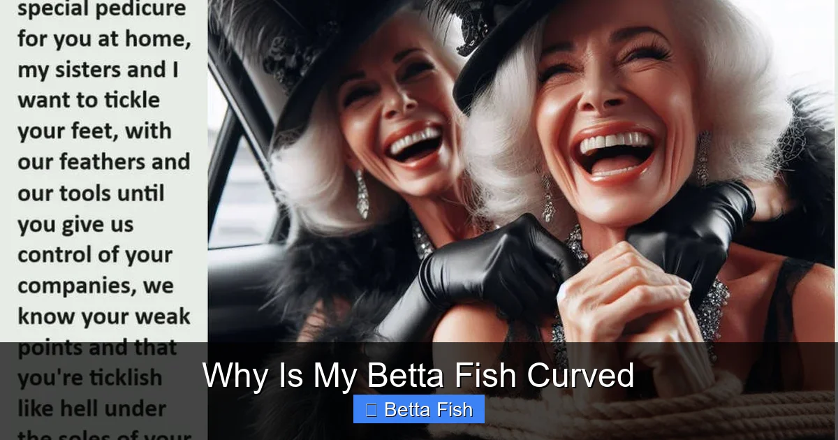 Why Is My Betta Fish Curved