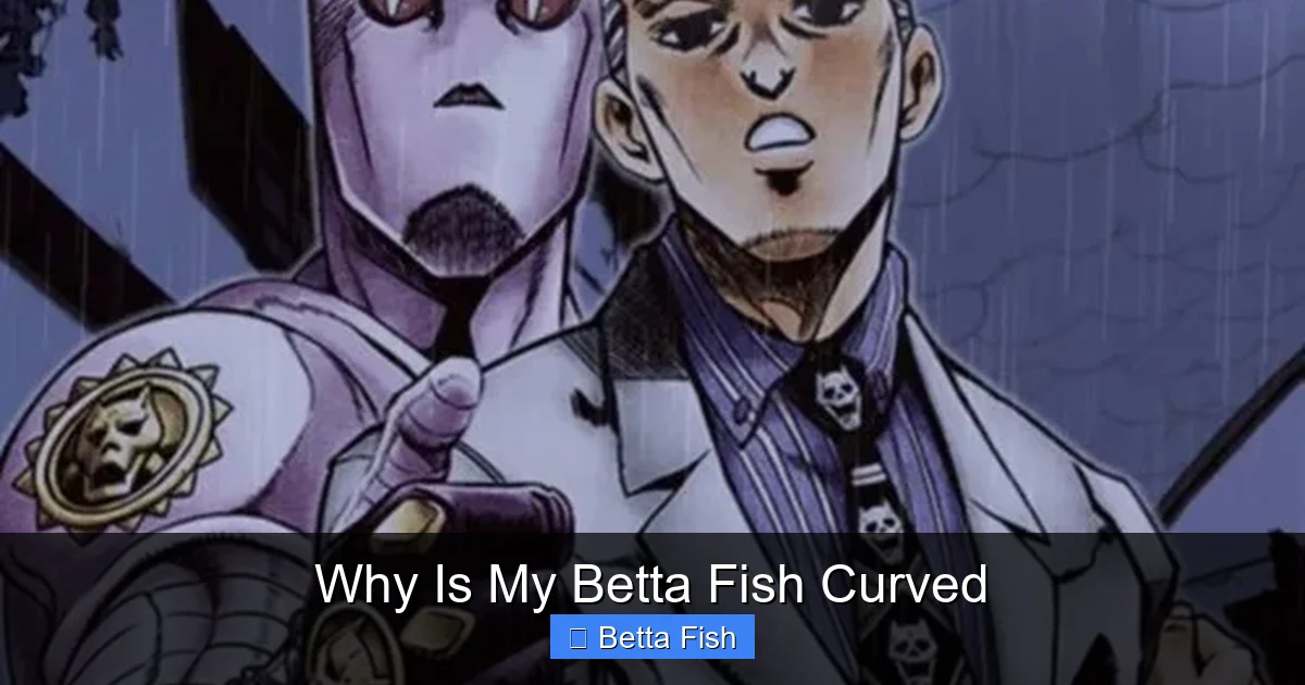 Why Is My Betta Fish Curved
