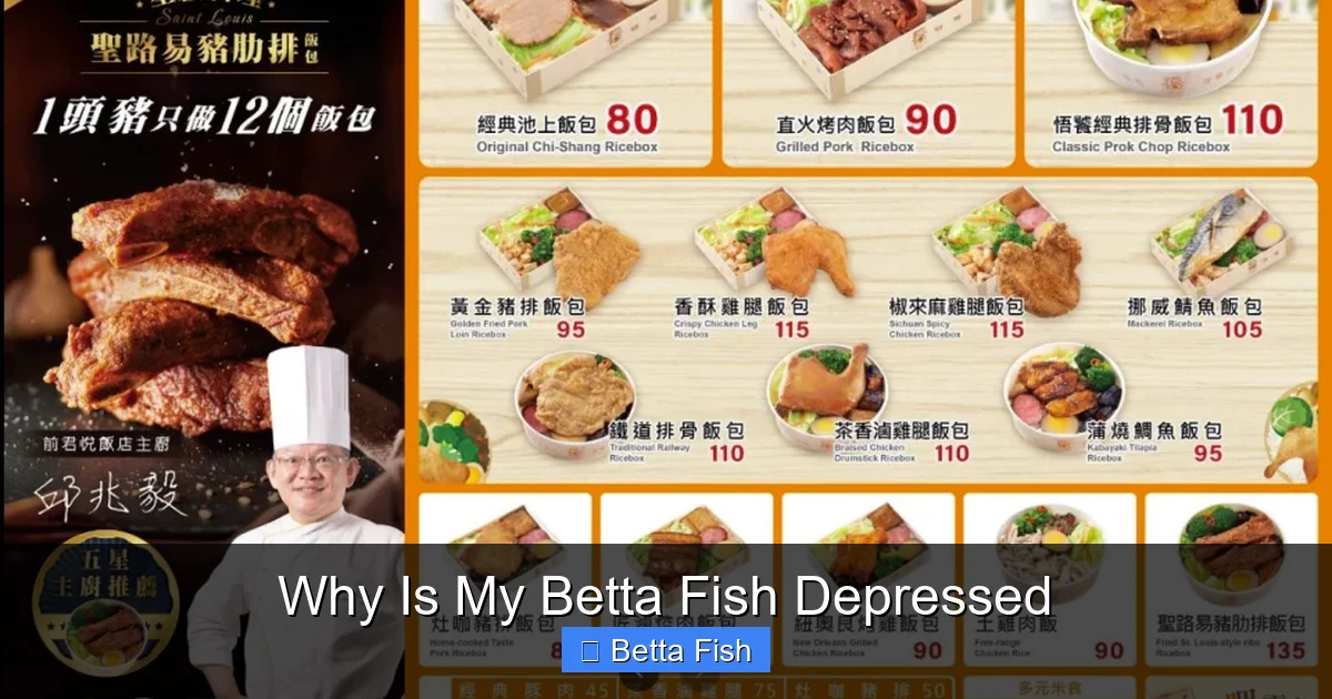 Why Is My Betta Fish Depressed